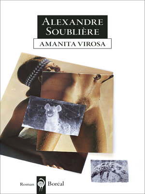 cover image of Amanita virosa